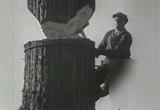 Logging, redwood, old time lumber mills films on dvd