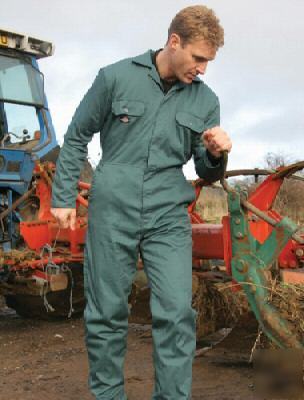 Dickies redhawk economy stud front coverall,royal med