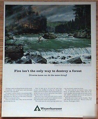 1965 weyerhaeuser forest fire unwise taxes destroy ad