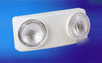 Dual head emergancy light