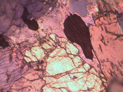 9 microscope slides for polarizing studies 