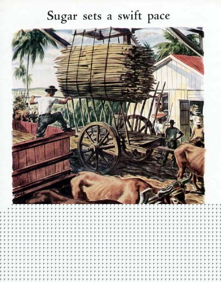 1939 cutler-hammer ad-sugar cane harvest