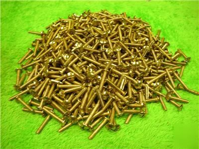 250 phillips brass plated truss head screws 8-32 x 1