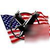 Americana eagle edition 12 pack