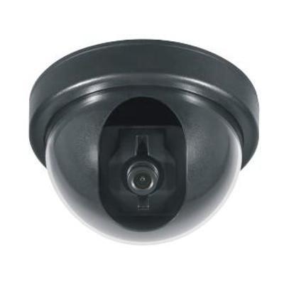 Dome camera lg 1/3 420 lines b/w ccd good price