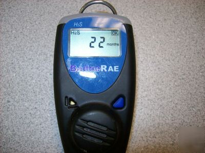 Rae systems badgerae H2S detector