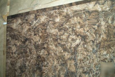 Walnut burl veneer 6 @ 13'' x 19'' [0863]