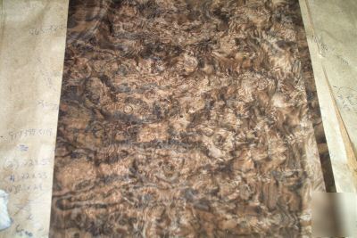 Walnut burl veneer 6 @ 13'' x 19'' [0863]